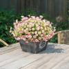 🌸 Spring Summer Home Decoration - 🌿 Fake Silk Colorful Morning Glory