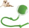 🔥Last Day 50% OFF- Smart Interactive Pet Toy Ball