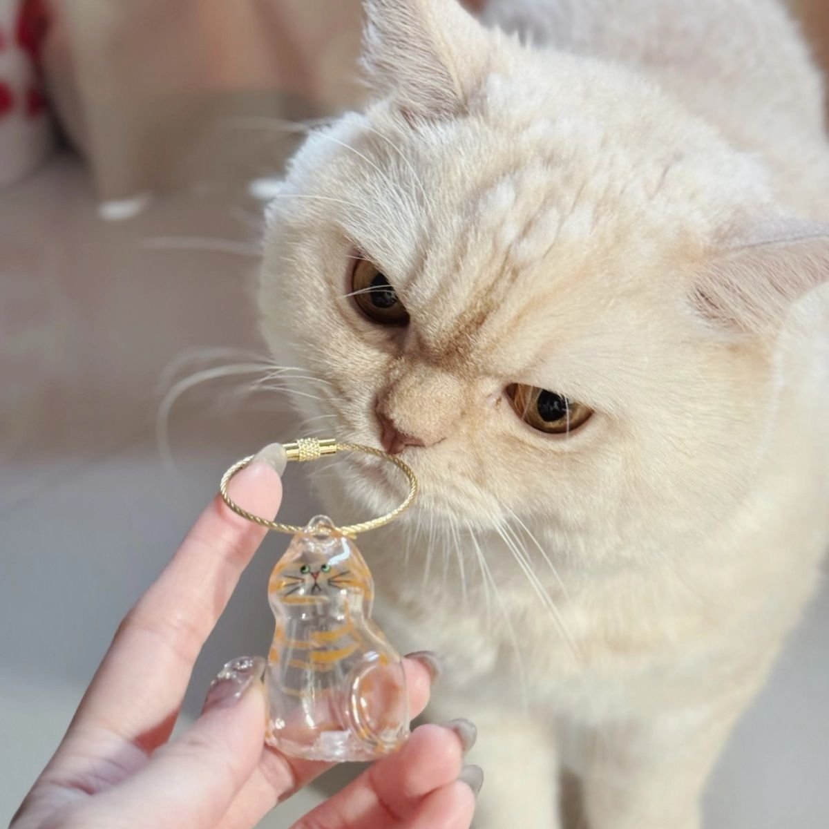 ⏰LAST DAY SALE 50% OFF💥My Pet Keychain