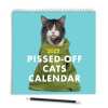 2025 Pissed-Off Cats Calendar