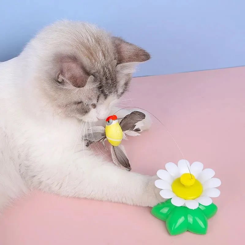 🔥Last Day Promotion - 60% OFF🎁😻😻Electric bird teasing cat toy🐦