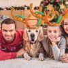 (🌲CHRISTMAS SALE NOW-48% OFF) Christmas Reindeer Ring Toss Game - Free Lnflator Today