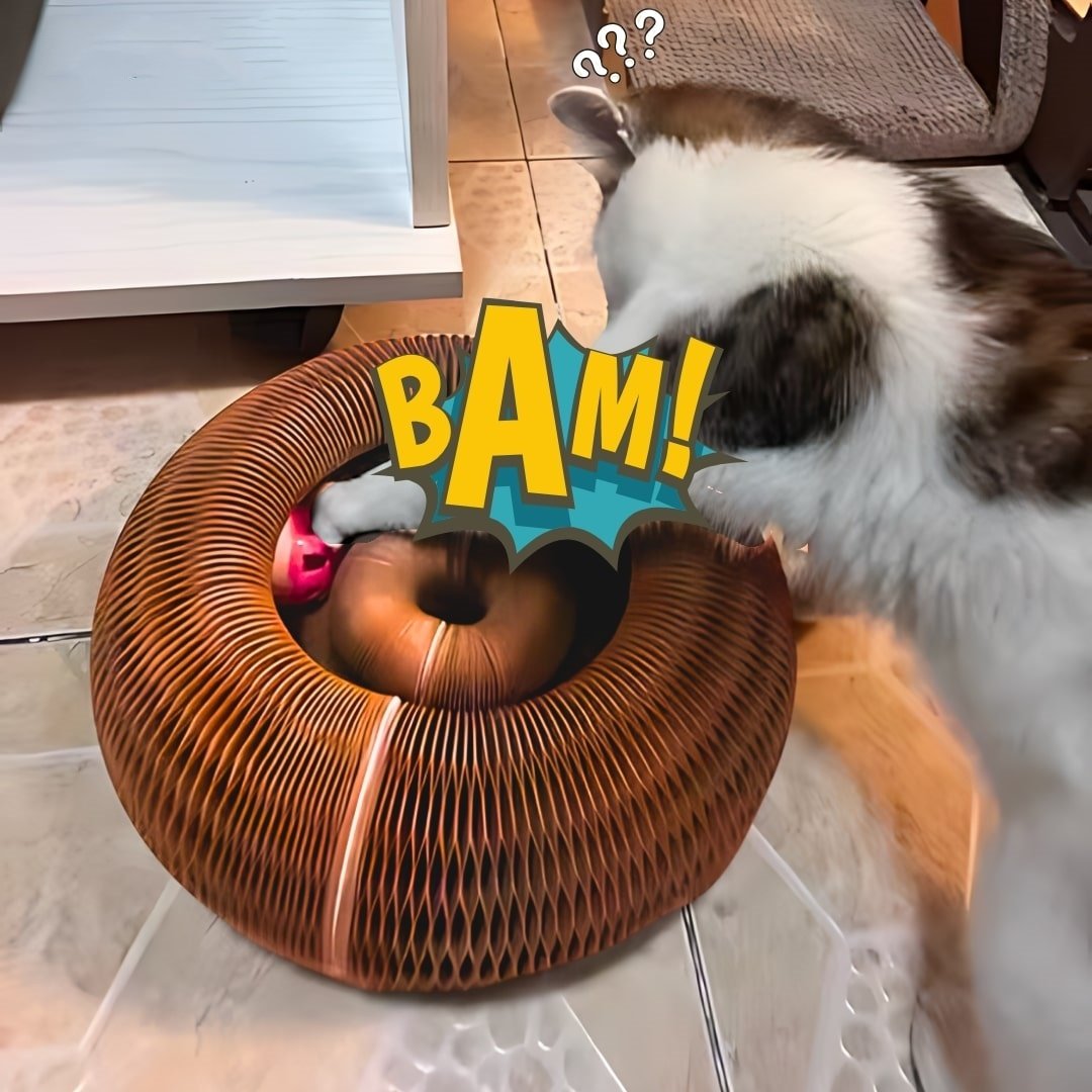 Modular Track with Ball Corrugate Scratcher Cat Toy