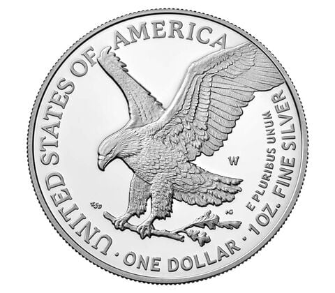 Last Day Only $8.99-American Eagle 2023 One Ounce Silver Proof Coin