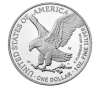 Last Day Only $8.99-American Eagle 2023 One Ounce Silver Proof Coin