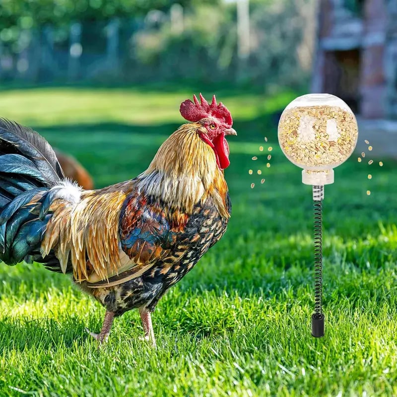 🔥LAST DAY 50% OFF 🐔Ultimate Chicken Peck Toy (2PCS)