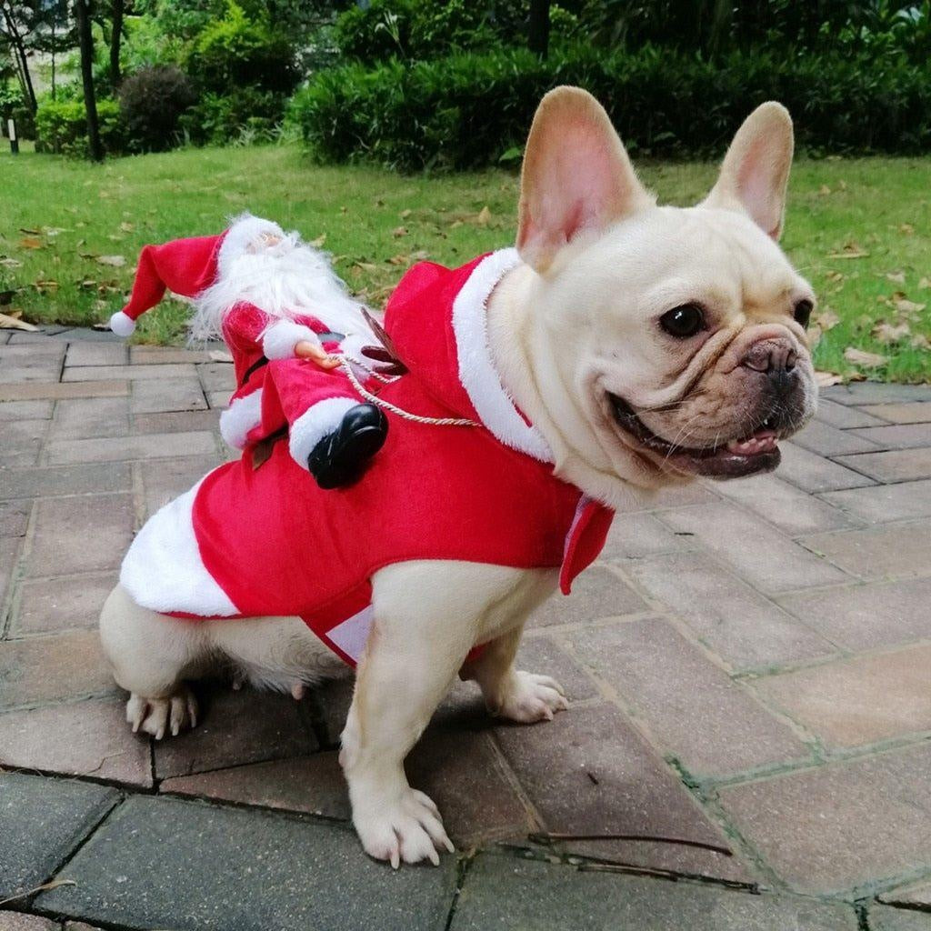 ⚡⚡Last Day Promotion 48% OFF -  Pet Christmas Clothes(🔥🔥BUY 2 FREE SHIPPING)