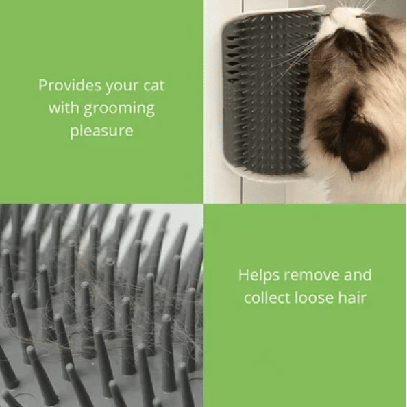 🔥Last Day Promo 70% OFF🔥 Cat Self Grooming Massage Toy Brush