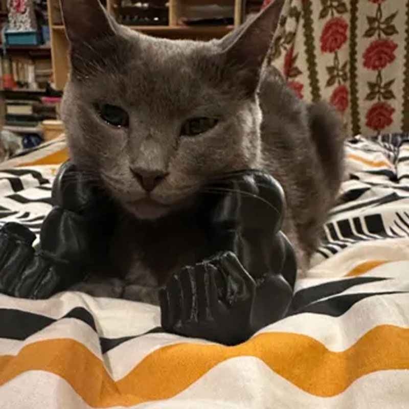 💥3D Printed Spoof Cat Hanging Neck Muscle Arm