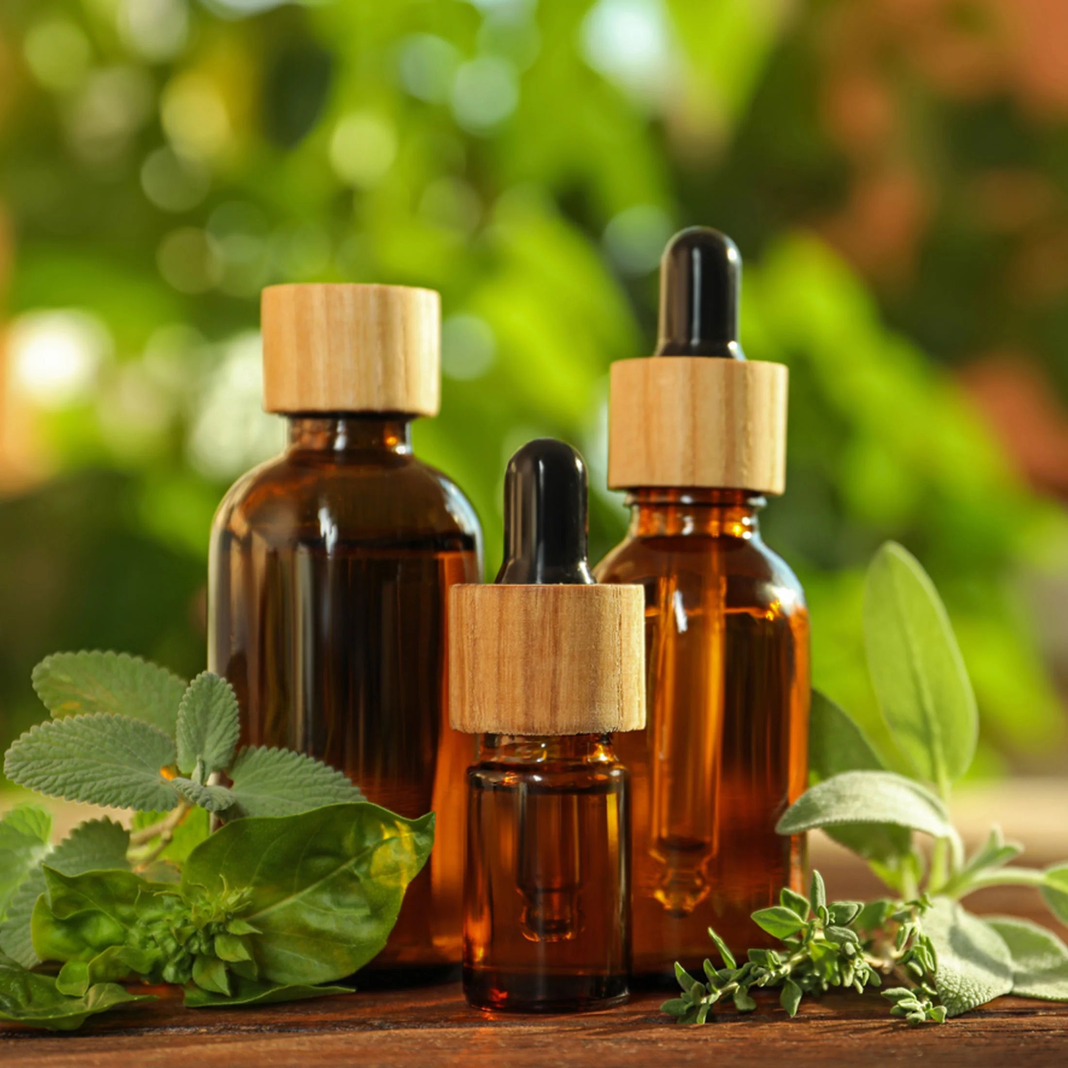 🔥Last Day 57% OFF🔥🍃The Forgotten Apothecary Seed Chest - 40 Varieties of Medicinal Herb Seeds