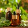 🔥Last Day 57% OFF🔥🍃The Forgotten Apothecary Seed Chest - 40 Varieties of Medicinal Herb Seeds