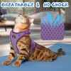 Cat Harness & Leash