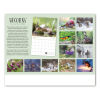 📅Becorns 2025 Calendar: Forest Folk