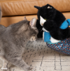 New Release Hot Sale 50% OFF🔥CategoryeTM Cats Puppet Wrestler🐾BUY 2 FREE SHIPPING
