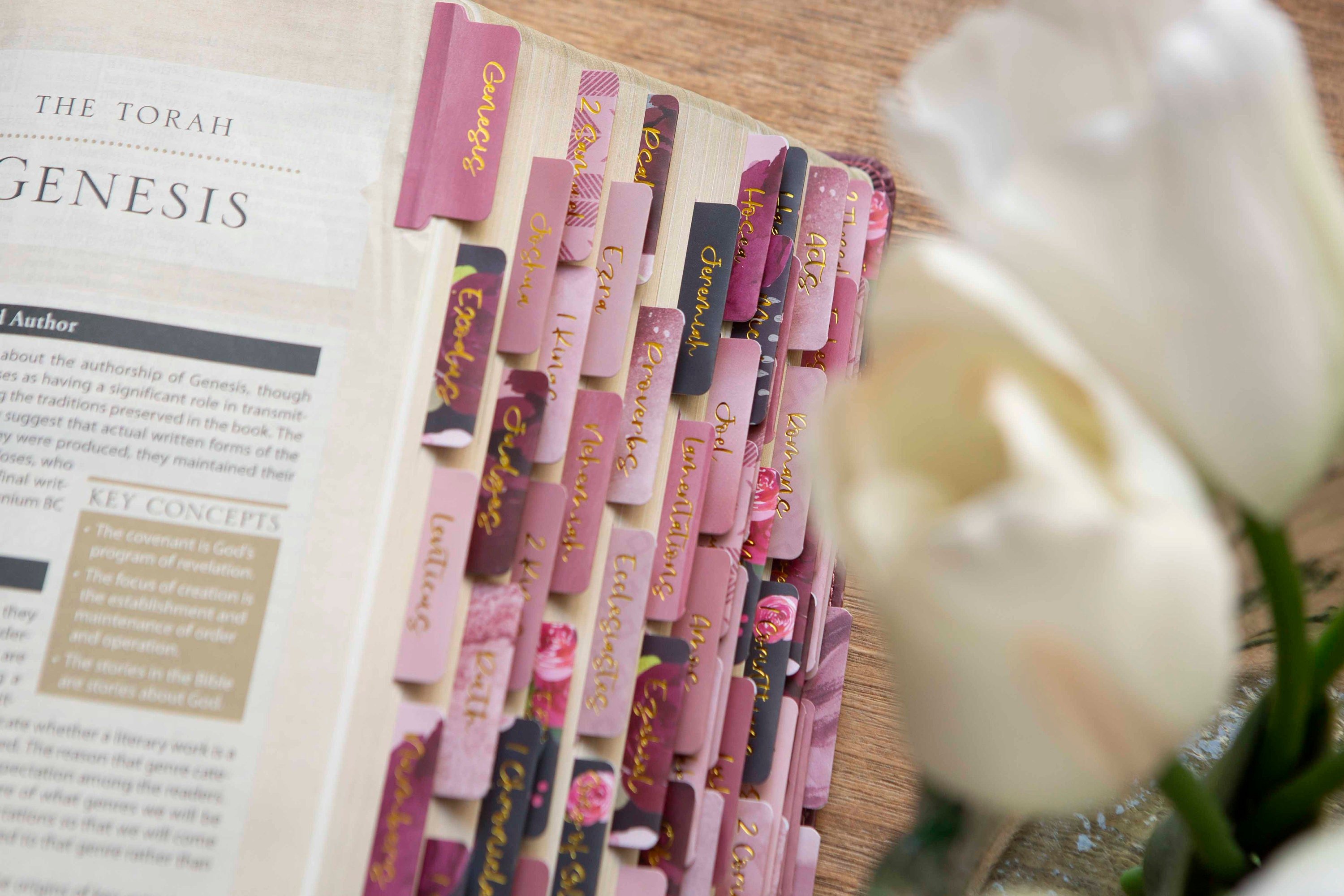 Laminated Bible Tabs