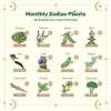 🔥LAST DAY 50% OFF💥Zodiac Seed Bank with Moon Calendar Gardening Gift 🌙 Moon-Guided Gardening Instructions Included