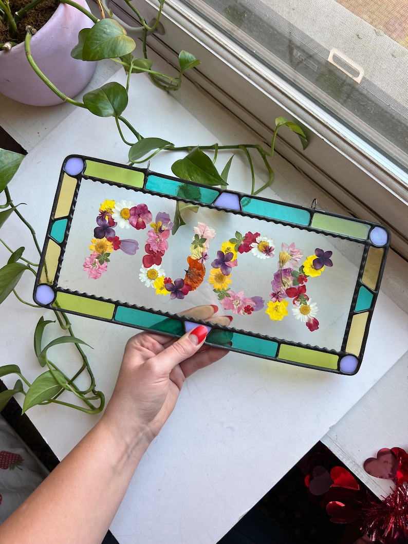 🔥Last Day 49% OFF😎 F*CK Suncatcher