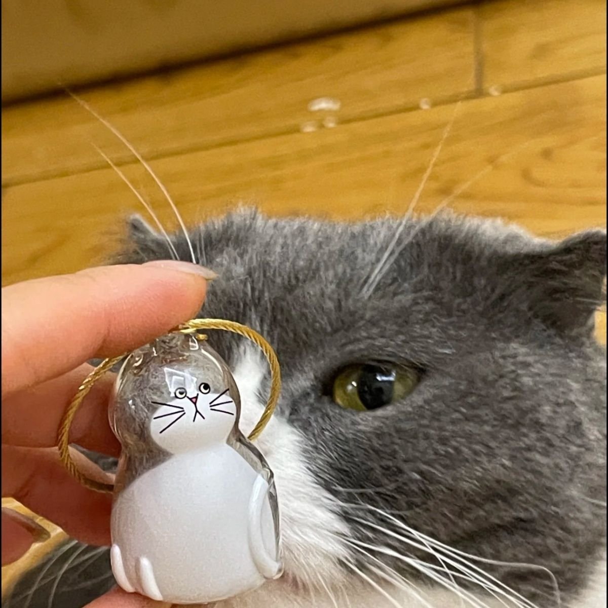 ⏰LAST DAY SALE 50% OFF💥My Pet Keychain