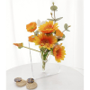 2025🎁Letzter Tag 49 % Rabatt🌺Blumenvase aus klarem Acryl in Form eines Bilderrahmens