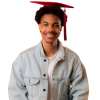 🔥Last Day Promotion 70% OFF🔥Graduation Cap Headband Insert