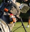 🔥LAST DAY SALE 49%OFF!🔥Sports Eagle Caddy Golf Ball Holder