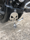 Universal Stainless Steel Skull Bell Hanger