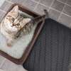 Last Day Promotion 48% OFF - Non-Slip Cat Litter Mat(BUY 2 FREE SHIPPING NOW)