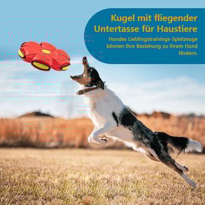 🔥Heißer Verkauf - 49% Rabatt🐾Kugel mit fliegender Untertasse für Haustiere