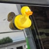 🔥Last Day Promotion - 60% OFF🎁🚗💦 Meet the Ultimate Car Accessory: The Fun Middle Finger Spraying Duck! 🦆💥