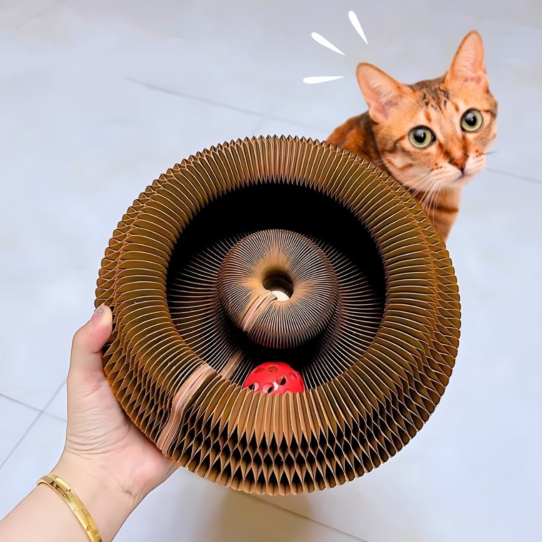 😸Modular Track with Ball Corrugate Scratcher Cat Toy