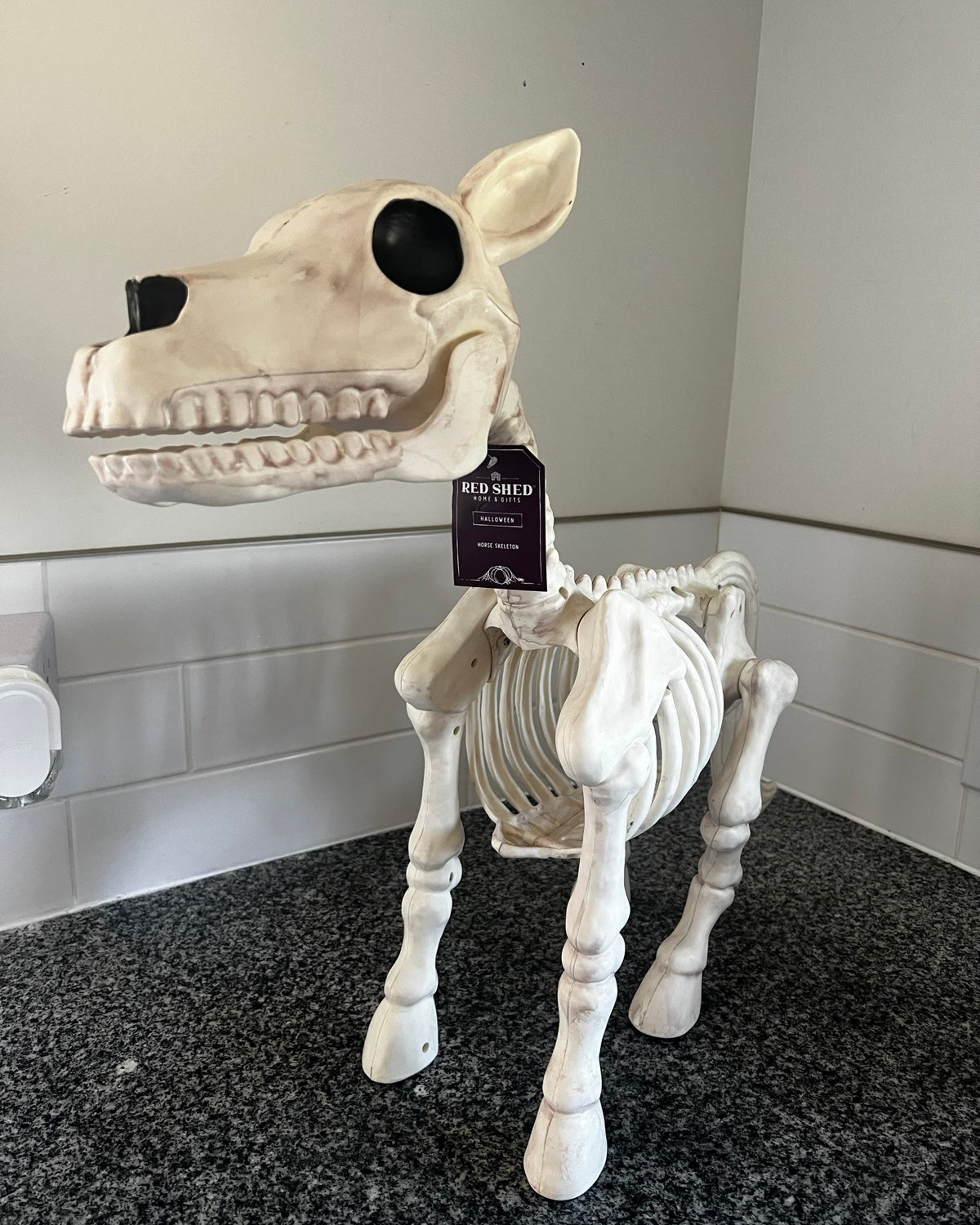 🐮💀Handmade Cow & Horse Skeleton Halloween Decorative Prop