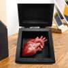 My Heart In A Box