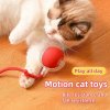 🌲Early Christmas Sale 50% Off🐱🐶2024 Automatic LED Interactive Pet Toys Ball