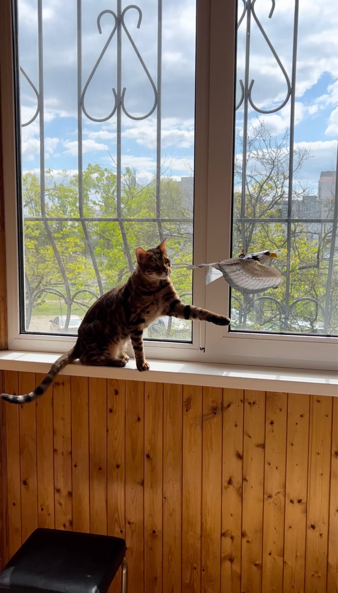 Fluffy's Flight Fun: An Indoor Avian Toy Masterpiece for Cats😸