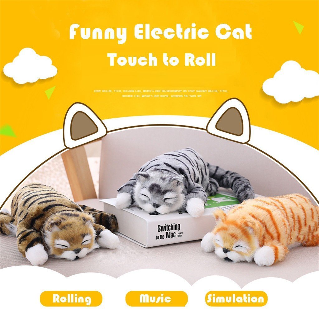 $17.99,ONLY FOR TODAY -Funny Rolling Cat