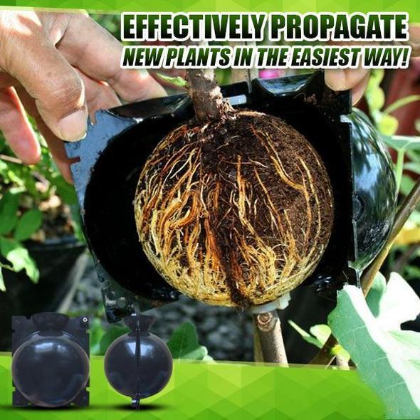 (SPRING HOT SALE - SAVE 50% OFF) Plant Root Growing Box