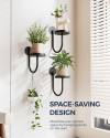 🎄TikTok Christmas Sale -70% OFF✨Wall Plant Holders Modern Indoor Window Plant Hangers