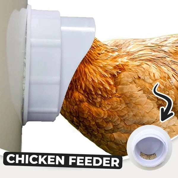 (🔥2022 Christmas Hot Sale 30% OFF)DIY Chicken Feeder