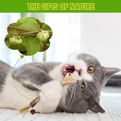 (🔥Early Christmas Sale - 50%OFF) Natural Silvervine Stick Cat Chew Toy- BUY 3 GET 2 FREE TODAY!