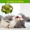 Natural Silvervine Stick Cat Chew Toy