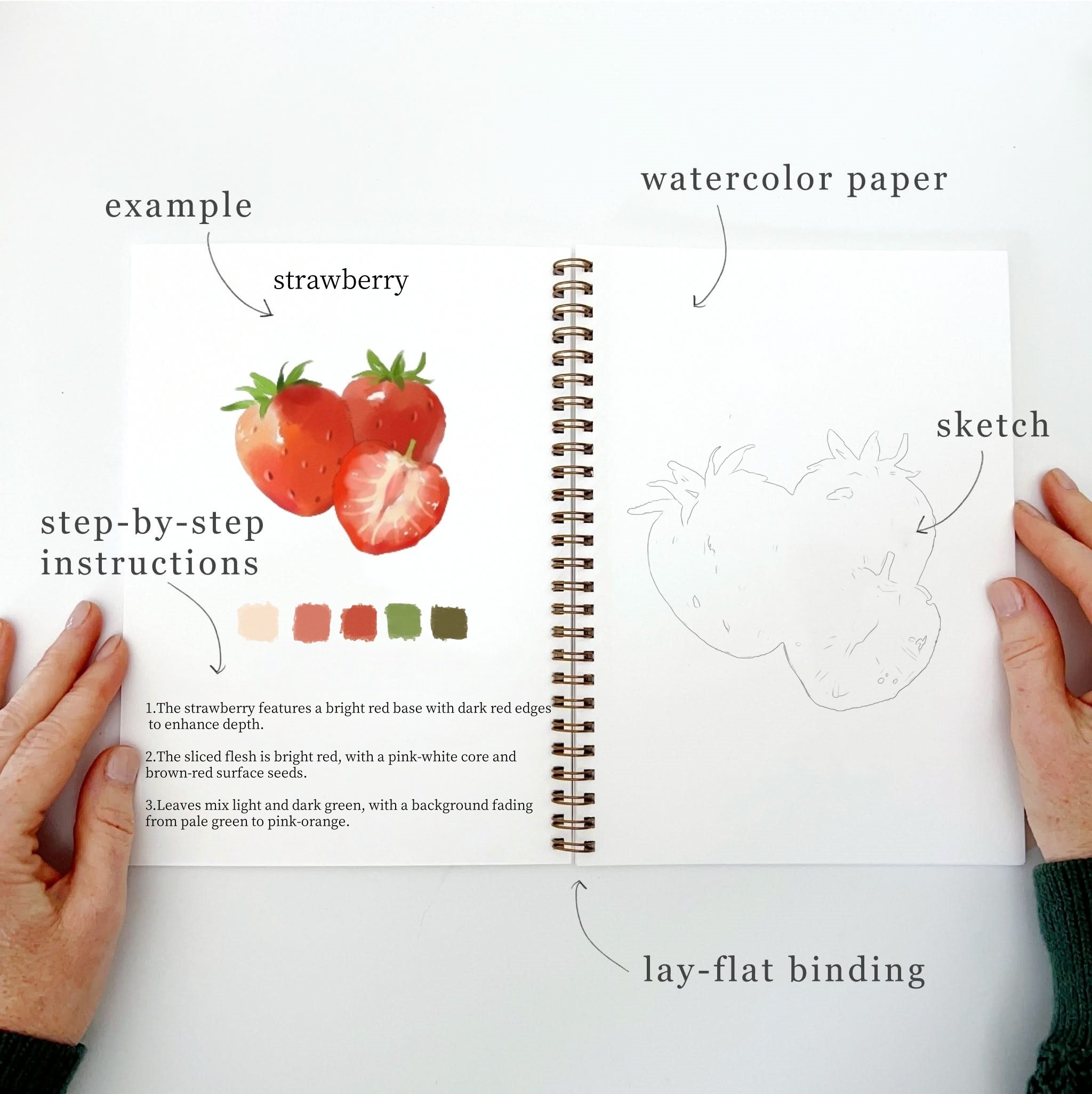 🍓Fruits Watercolor Workbook(🔥2025 New Limited Edition)