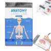 🔥Last Day 50% OFF - Anatomy Label Workbook 📘