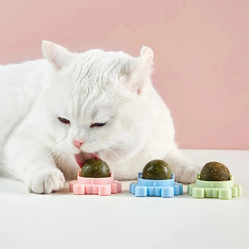 Early Christmas Hot Sale 48% OFF - Catnip Balls - 🔥BUY 3 GET 3 FREE