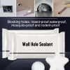 (🎄CHRISTMAS EARLY SALE-48% OFF) Wall Hole Sealant(BUY 5 GET FREE SHIPPING TODAY!)