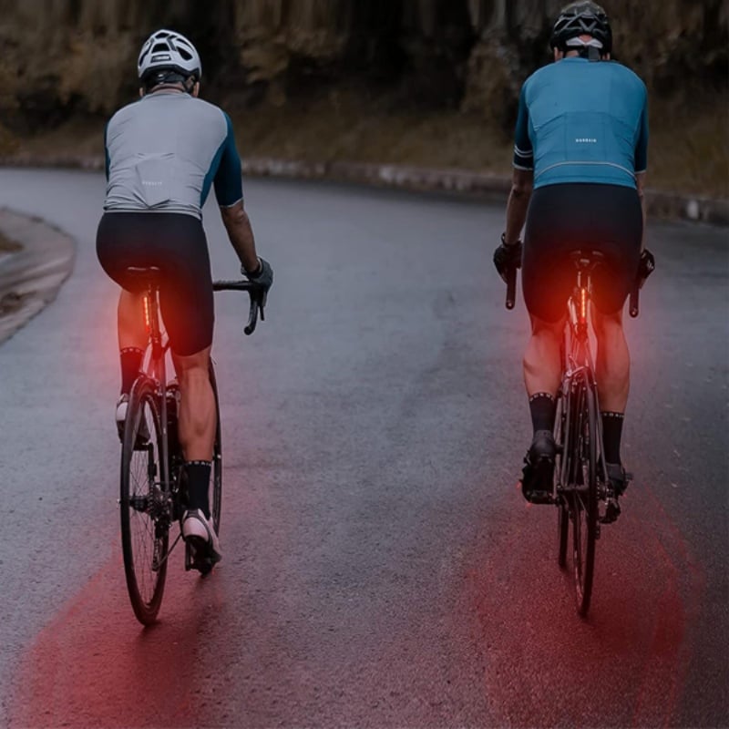 🔥Last Day 70% OFF - LED Bike Rear Light