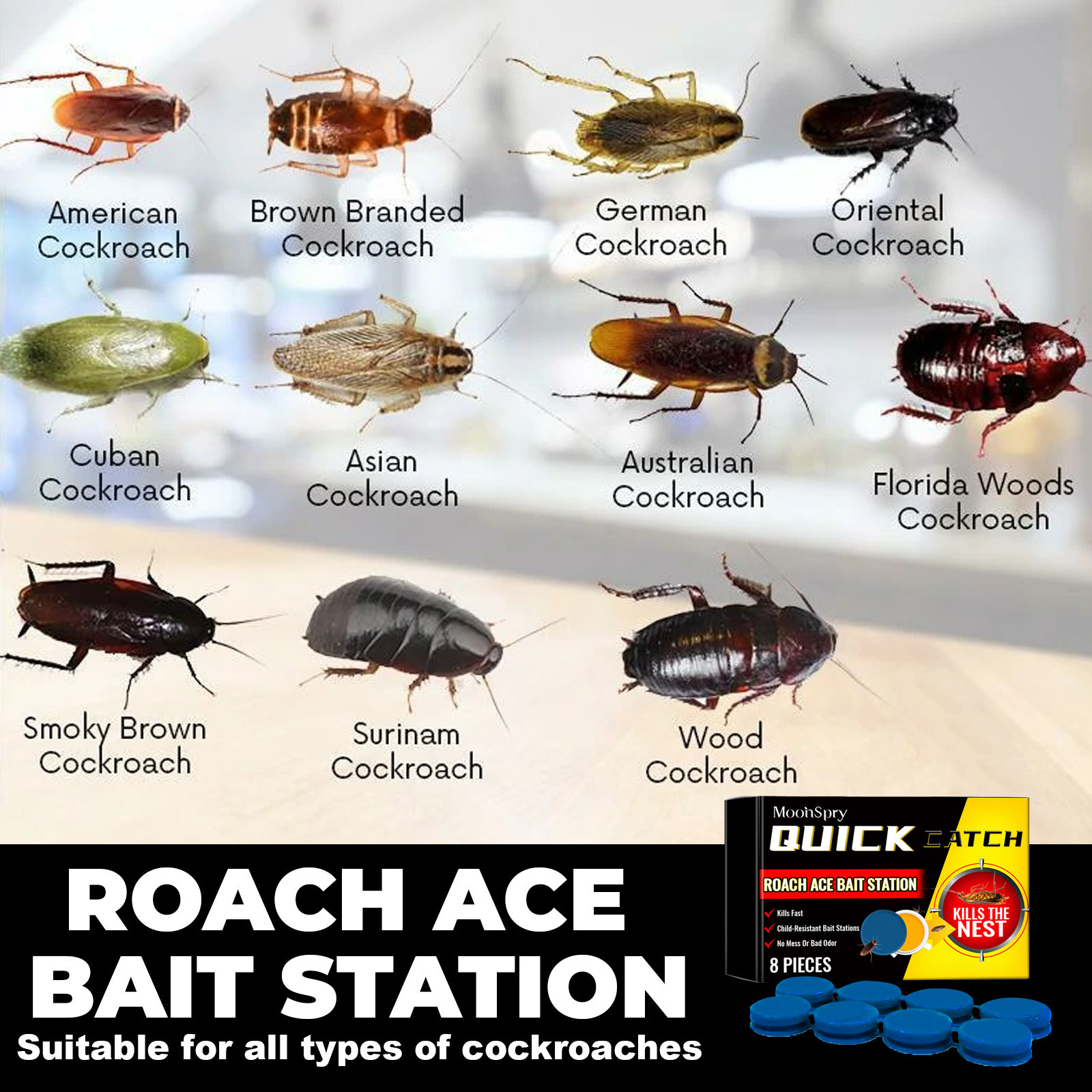 🔥Last Day Promotion 50% OFF🔥Quickatch™ Roach Ace Bait Station