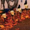 💀 Halloween Skull Solar Lights with Crow – Spooky Outdoor Decor