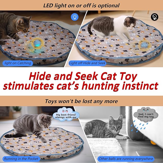 (🎄Christmas Hot Sale - 49% OFF) 2 in 1 Simulated Interactive Hunting Cat Toy