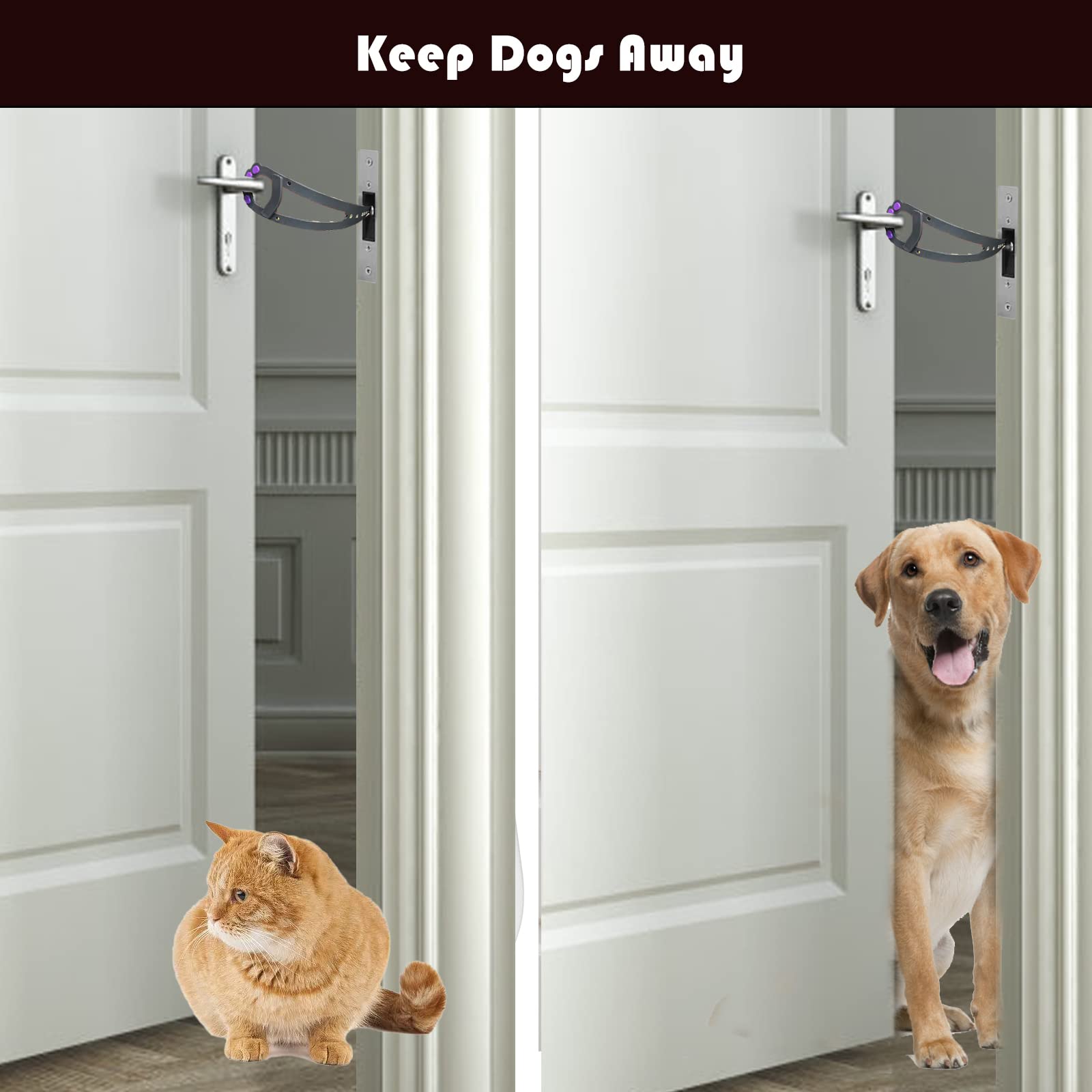 Last Day Offer 49% 💥 Cat Door Holder