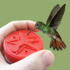 Hummingbird Mini Feeder Bird Watching